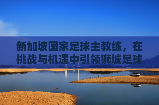 新加坡国家足球主教练,在挑战与机遇中引领狮城足球新征程