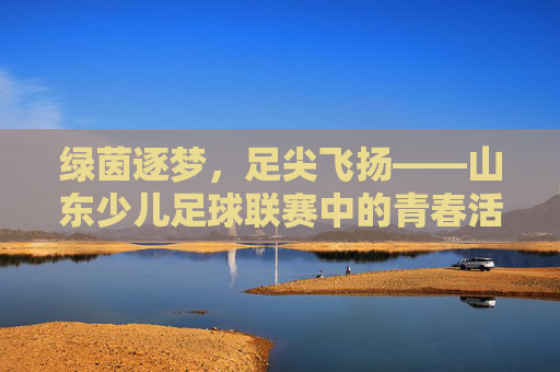 绿茵逐梦，足尖飞扬——山东少儿足球联赛中的青春活力与成长足迹，绿茵逐梦，足尖飞扬——山东少儿足球联赛中的青春活力与成长足迹