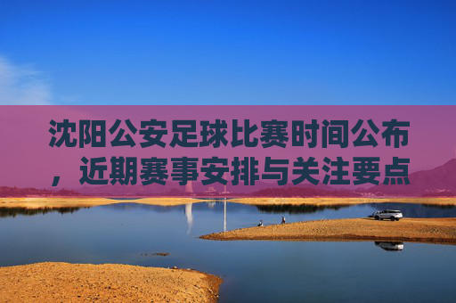 沈阳公安足球比赛时间公布,近期赛事安排与关注要点