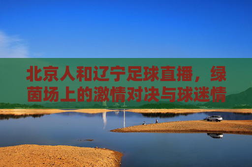 北京人和辽宁足球直播，绿茵场上的激情对决与球迷情怀的共鸣，北京人和辽宁足球直播，绿茵场上的激情对决与球迷情怀的共鸣