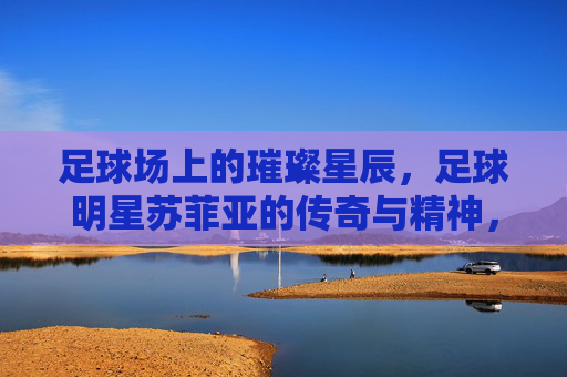 足球场上的璀璨星辰，足球明星苏菲亚的传奇与精神，足球场上的璀璨星辰，苏菲亚的传奇与精神