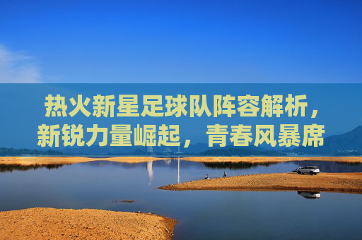 热火新星足球队阵容解析，新锐力量崛起，青春风暴席卷赛场，热火新星足球队阵容解析，新锐力量崛起，青春风暴席卷赛场