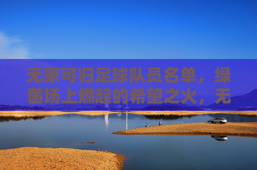 无家可归足球队员名单，绿茵场上燃起的希望之火，无家可归足球队员名单，绿茵场上燃起的希望之火
