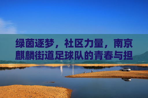 绿茵逐梦,社区力量,南京麒麟街道足球队的青春与担当,绿茵逐梦,社区力量,南京麒麟街道足球队的青春担当