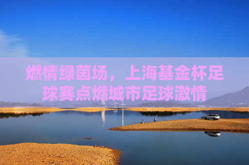 燃情绿茵场,上海基金杯足球赛点燃城市足球激情