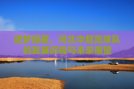 逐梦绿茵,河北中超足球队的发展历程与未来展望