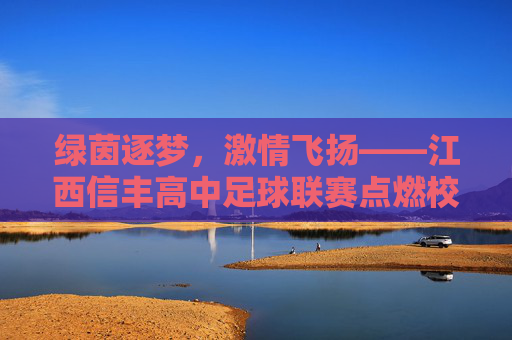 绿茵逐梦,激情飞扬——江西信丰高中足球联赛点燃校园青春活力,绿茵逐梦,激情飞扬——江西信丰高中足球联赛点燃校园青春活力