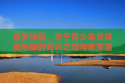 逐梦绿茵，苏宁青少年足球俱乐部的青训之路与未来展望，逐梦绿茵，苏宁青少年足球俱乐部的青训之路与未来展望