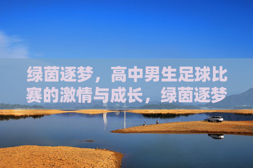 绿茵逐梦，高中男生足球比赛的激情与成长，绿茵逐梦，高中男生足球比赛的激情与成长