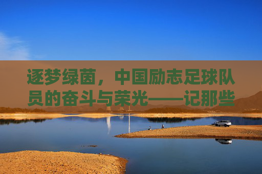 逐梦绿茵,中国励志足球队员的奋斗与荣光——记那些在逆境中绽放的足球之星