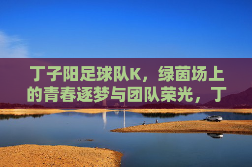 丁子阳足球队K,绿茵场上的青春逐梦与团队荣光,丁子阳足球队,绿茵场上的青春逐梦与团队荣光