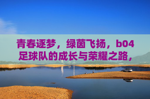 青春逐梦,绿茵飞扬,b04足球队的成长与荣耀之路,青春逐梦,绿茵飞扬,b04足球队的成长与荣耀之路