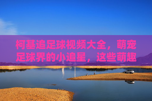 柯基追足球视频大全,萌宠足球界的小追星,这些萌趣瞬间让你笑出腹肌!柯基追足球视频大全,萌宠足球界的小追星,笑出腹肌的萌趣瞬间!