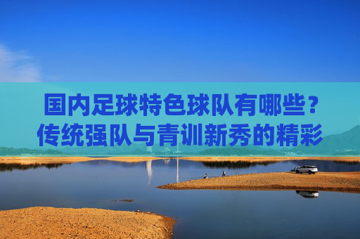 国内足球特色球队有哪些?传统强队与青训新秀的精彩代表