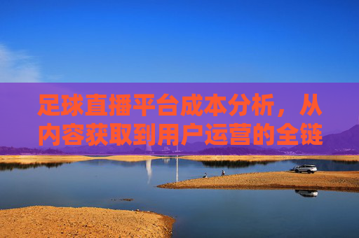 足球直播平台成本分析，从内容获取到用户运营的全链路解析，足球直播平台全链路成本解析，从内容获取到用户运营的拆解分析