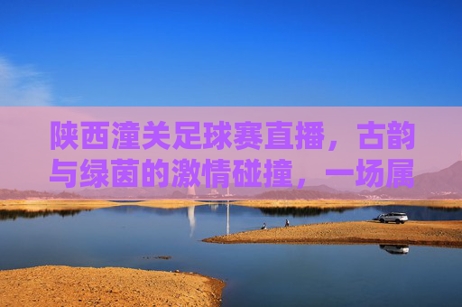 陕西潼关足球赛直播,古韵与绿茵的激情碰撞,一场属于时代的体育盛宴