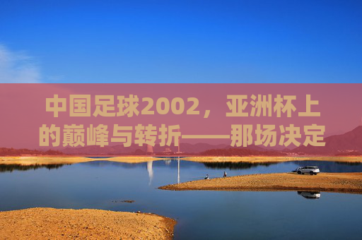中国足球2002,亚洲杯上的巅峰与转折——那场决定中国足坛命运的1/4决赛