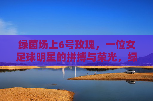 绿茵场上6号玫瑰,一位女足球明星的拼搏与荣光,绿茵场上6号玫瑰,一位女足球明星的拼搏与荣光