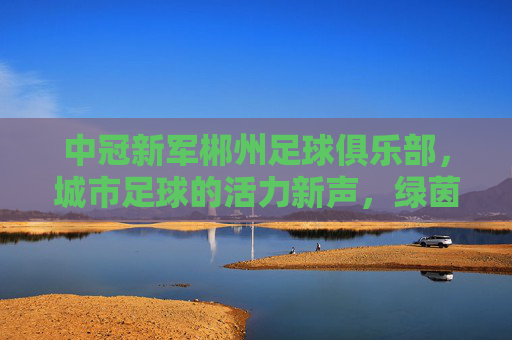 中冠新军郴州足球俱乐部,城市足球的活力新声,绿茵场上的郴州故事