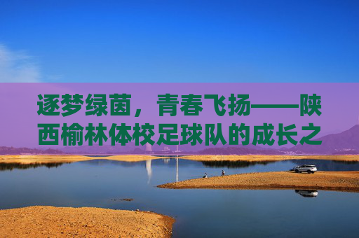 逐梦绿茵，青春飞扬——陕西榆林体校足球队的成长之路