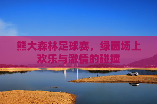 熊大森林足球赛,绿茵场上欢乐与激情的碰撞