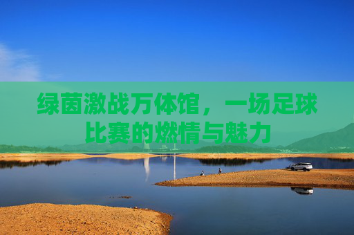 绿茵激战万体馆,一场足球比赛的燃情与魅力