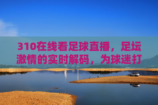 310在线看足球直播,足坛激情的实时解码,为球迷打造沉浸式观赛体验