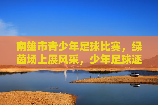 南雄市青少年足球比赛,绿茵场上展风采,少年足球逐梦启航