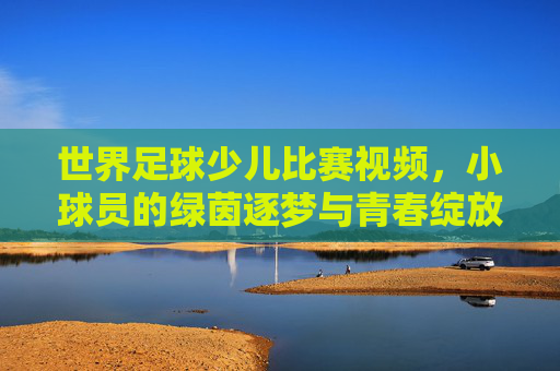 世界足球少儿比赛视频,小球员的绿茵逐梦与青春绽放