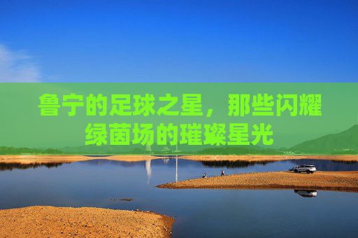鲁宁的足球之星，那些闪耀绿茵场的璀璨星光
