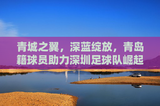 青城之翼,深蓝绽放,青岛籍球员助力深圳足球队崛起的足迹
