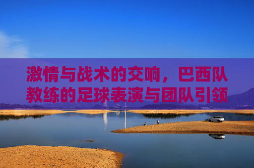 激情与战术的交响,巴西队教练的足球表演与团队引领艺术,激情与战术的交响,巴西队教练的足球艺术与团队引领智慧