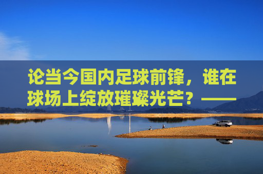 论当今国内足球前锋,谁在球场上绽放璀璨光芒?——聚焦国内前锋的现代表现与角色演变