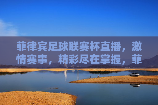 菲律宾足球联赛杯直播，激情赛事，精彩尽在掌握，菲律宾足球联赛杯直播，激情赛事，精彩尽在掌握