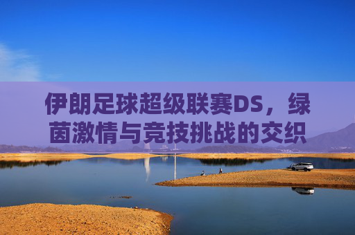 伊朗足球超级联赛DS,绿茵激情与竞技挑战的交织