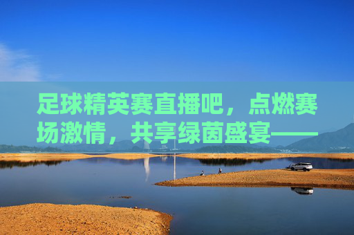 足球精英赛直播吧，点燃赛场激情，共享绿茵盛宴——全球球迷的数字观赛新体验，足球精英赛直播吧，点燃赛场激情，共享绿茵盛宴——全球球迷的数字观赛新体验