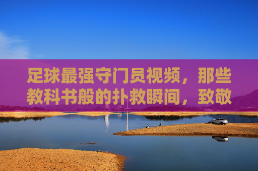 足球最强守门员视频,那些教科书般的扑救瞬间,致敬足球门前的守护神