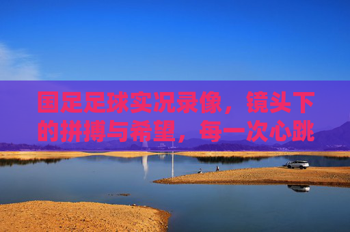 国足足球实况录像,镜头下的拼搏与希望,每一次心跳都为梦想而燃,国足足球实况,镜头下的拼搏与希望,每一次心跳为梦想而燃
