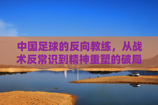 中国足球的反向教练,从战术反常识到精神重塑的破局探索