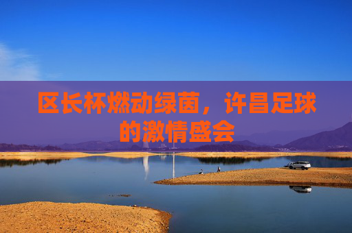 区长杯燃动绿茵,许昌足球的激情盛会