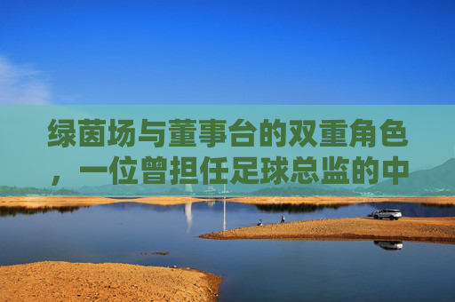 绿茵场与董事台的双重角色,一位曾担任足球总监的中场,用球商重塑球队命运,从球场到董事台,足球总监中场以球商重塑球队命运