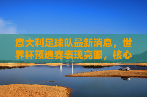 意大利足球队最新消息，世界杯预选赛表现亮眼，核心阵容稳定，战术调整显成效
