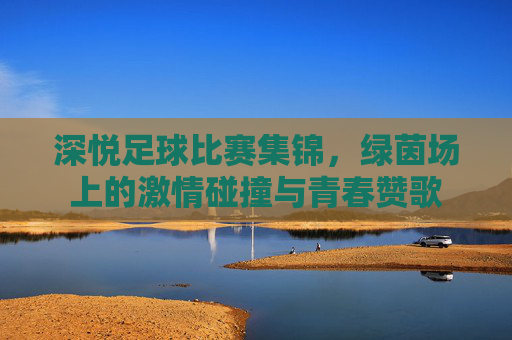 深悦足球比赛集锦,绿茵场上的激情碰撞与青春赞歌