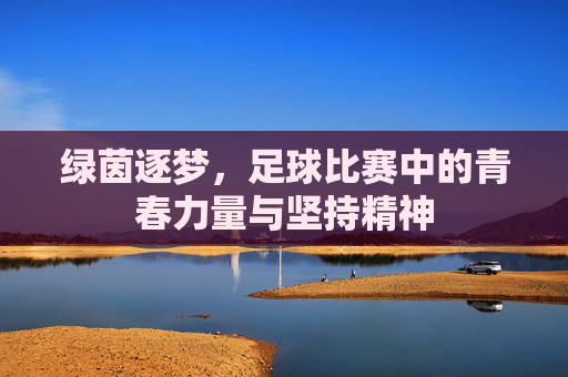 绿茵逐梦,足球比赛中的青春力量与坚持精神