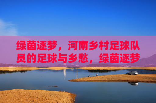 绿茵逐梦，河南乡村足球队员的足球与乡愁，绿茵逐梦，河南乡村足球队员的足球与乡愁
