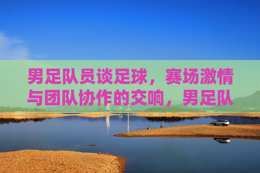 男足队员谈足球，赛场激情与团队协作的交响，男足队员谈足球，赛场激情与团队协作的交响