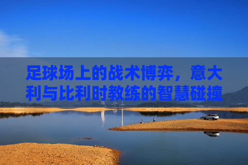 足球场上的战术博弈,意大利与比利时教练的智慧碰撞与风格差异,足球场上的战术博弈,意大利与比利时教练的智慧碰撞与风格差异