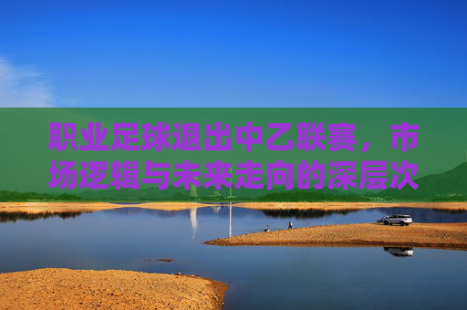 职业足球退出中乙联赛,市场逻辑与未来走向的深层次思考,职业足球退出中乙联赛,市场逻辑与未来走向的深层次思考