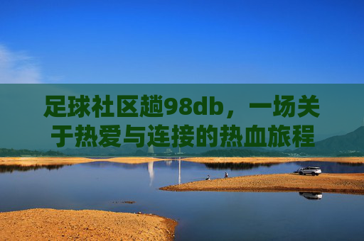 足球社区趟98db,一场关于热爱与连接的热血旅程