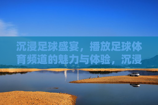沉浸足球盛宴，播放足球体育频道的魅力与体验，沉浸足球盛宴，足球体育频道的魅力与体验